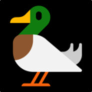 DucksGoQuack!