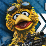 big bird
