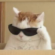 MR.cat