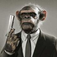 well dressed monkey