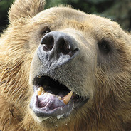 HappyBear