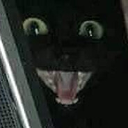 Creature of Joy