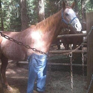 Avatar de la communauté Steam