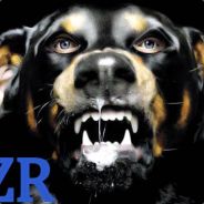 [RZR]Akermann
