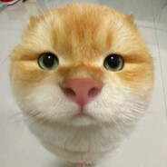 21届舞蹈生小雨
