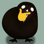 Birb