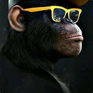 Mr. Monkey