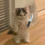 squikker