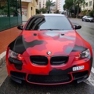 Fist