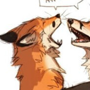 fox salmon