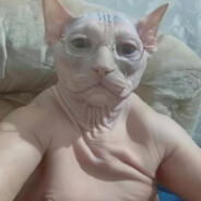 XD