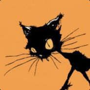 Cat Schrödinger
