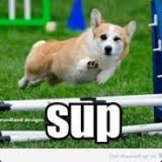 SupJT