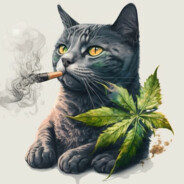 Meowijuana