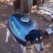 химмаш