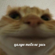 arisha))