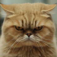 ene el gato enojado
