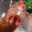 Group Avatar
