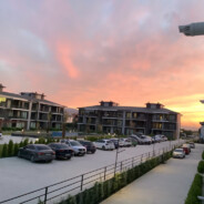 Efe_07