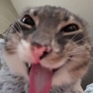 RLRw