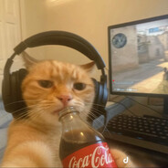 AMMO