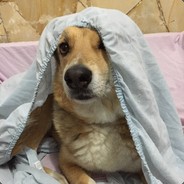 El TitiCoca