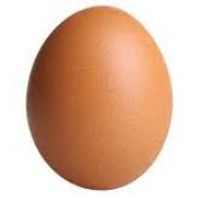 egg