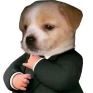 Пипидастер
