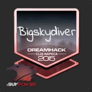 | Bigskydiver |<3 Sremiz|