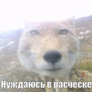 степа =)