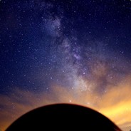 Detritivor|TRADEIT.GG|