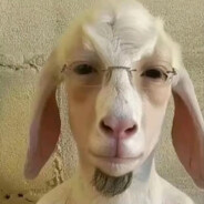 krisu ala bestia z hyznego