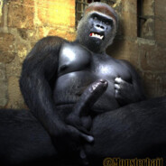 Mr Monkey