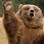bear