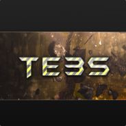 Te3S™