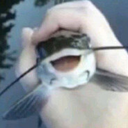 Bruh