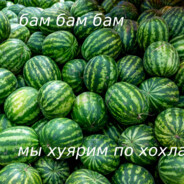 Задира Боб