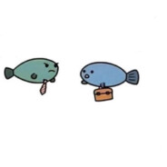sirkoifish