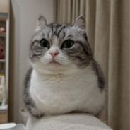 https://avatars.fastly.steamstatic.com/8efc69395567b7c60fd5346f30e0185c7cf07d95_full.jpg