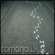 Steam profile picture for @tomahawk