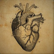CardiacCoder849