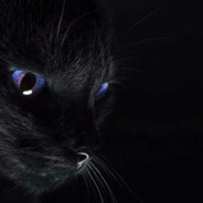 FeelTheDarknesss
