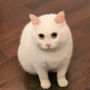 桔子