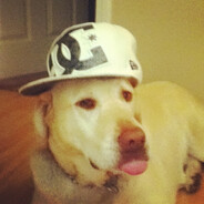 #2013swag