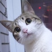 丨12145