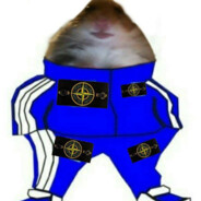 кампус без меха