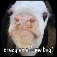 CrazyJuneBug