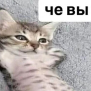 ≽^•⩊•^≼ че вы