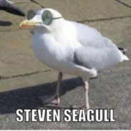 Sgull