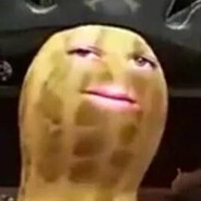 DrFartButt
